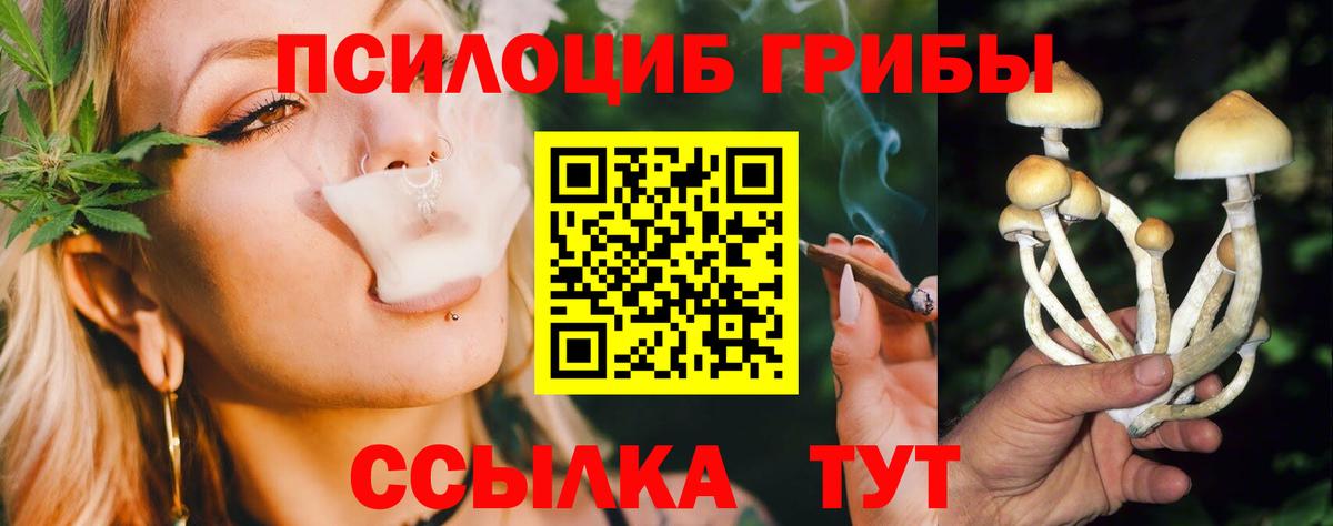 Псилоцибиновые грибы GOLDEN TEACHER  Вход с VPN  Кимры 
